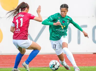 Engir áhorfendur á leikjum