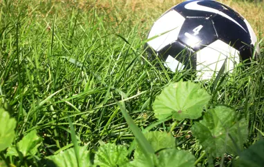 Hertar samkomutakmarkanir taka gildi 5. október