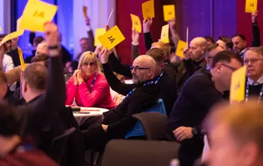 20250222 150135 Mummilu