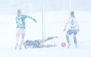 8F705268 F788 42E7 Bb3a 019Cb0b1e6c6