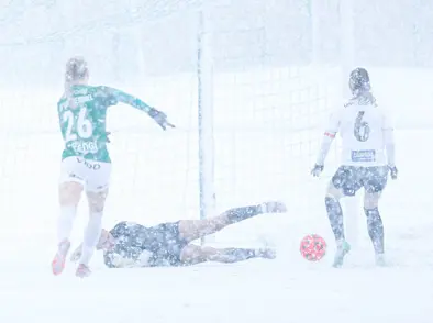 8F705268 F788 42E7 Bb3a 019Cb0b1e6c6