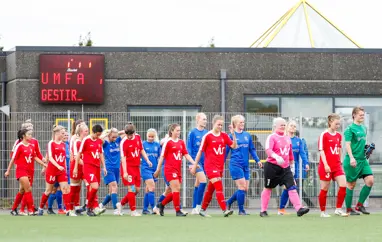 Drög að niðurröðun 2. deildar kvenna 2020