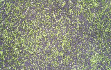 Upplýsingar varðandi notkun míkróplasts á knattspyrnuvöllum