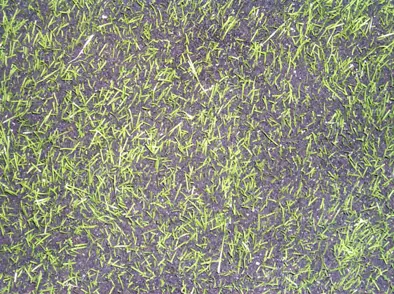 Upplýsingar varðandi notkun míkróplasts á knattspyrnuvöllum