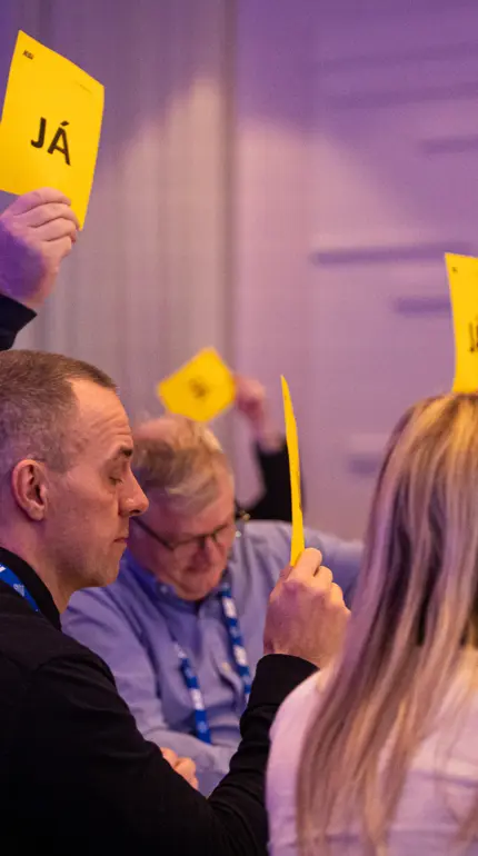 20250222 123127 Mummilu