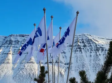 Þinggerð 77. ársþings KSÍ 2023