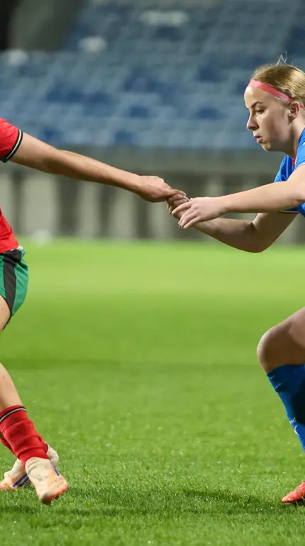 Tobytandefoto 221847T