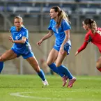 Tobytandefoto 221906T