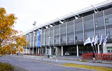 Kosningar í bráðabirgðastjórn á aukaþingi