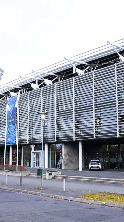 Kosningar í bráðabirgðastjórn á aukaþingi