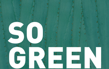 KSÍ gerir 5 ára samning við SoGreen