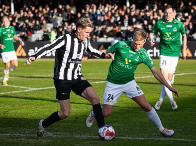 Fjölgun frá fyrra ári