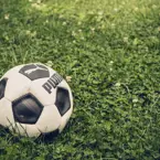 Jumpstory Download20201029 150459