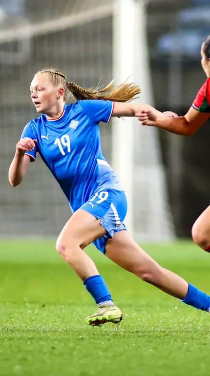 Tobytandefoto 221800T