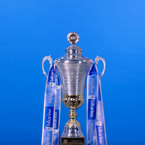 Mjolkurbikarinn Cutout