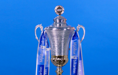 Mjolkurbikarinn Cutout