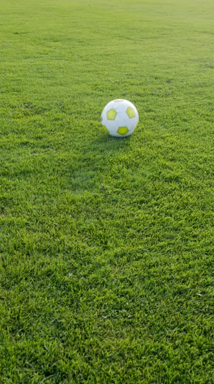 KSÍ C 1 þjálfaranámskeið - janúar 2022